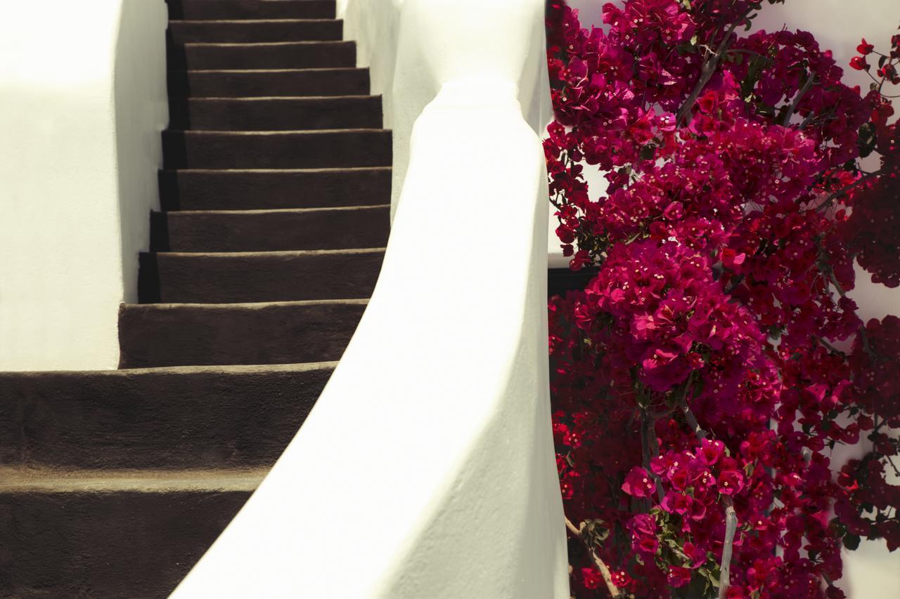 Chelidonia Luxury Suites Oía Exteriér fotografie